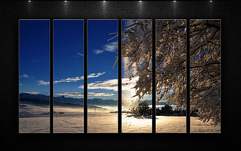 Winter Nature, winter, nature HD wallpaper