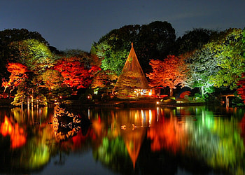 Beautiful Lighting, lighting, , colors, cool, beautiful HD wallpaper