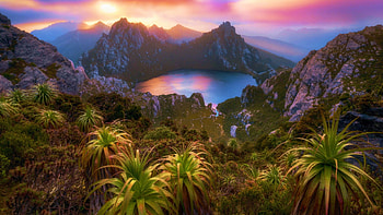 Exotic Sunset, sky, sea, palms, peaks, colors, trees HD wallpaper