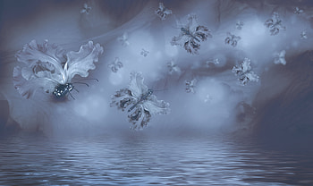 Butterflies, blue, butterfly, texture, fluture, luminos, water HD wallpaper