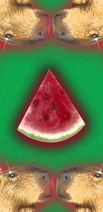 Capybara, green, ingredient, watermelon HD phone wallpaper