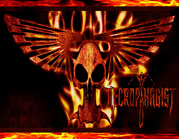 Necrophagist, metal, hardcore, music, heavy HD wallpaper
