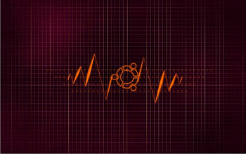 Abstract, Background, Lines, Grid HD wallpaper