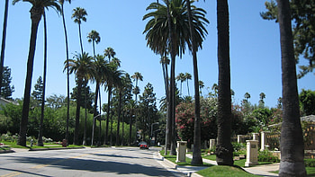 Beverly Hills, Top Beverly Hills backgrounds HD wallpaper