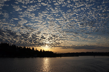 Nature, Rivers, Trees, Sunset, Twilight, Clouds, Dusk HD wallpaper
