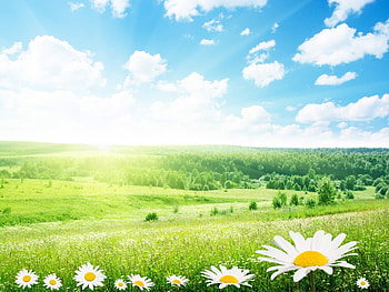 Landscape, Nature HD wallpaper