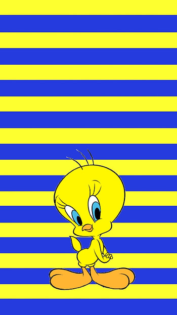 Looney Tunes Tweety Bird, Piolin, Cute HD phone wallpaper