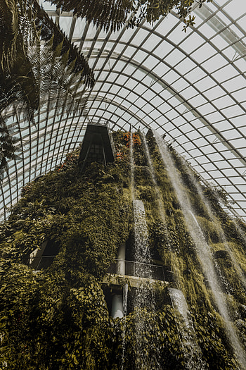 Plants, Miscellanea, Miscellaneous, Waterfall, Construction, Design, Greenhouse HD phone wallpaper