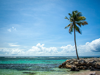Nature, Sea, Summer, Palm, Tropics, Island HD wallpaper