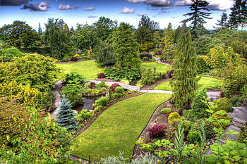 Park HD wallpaper