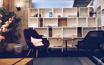 A stylish living room featuring modern furniture, bookshelves, and decorative plants. HD wallpaper