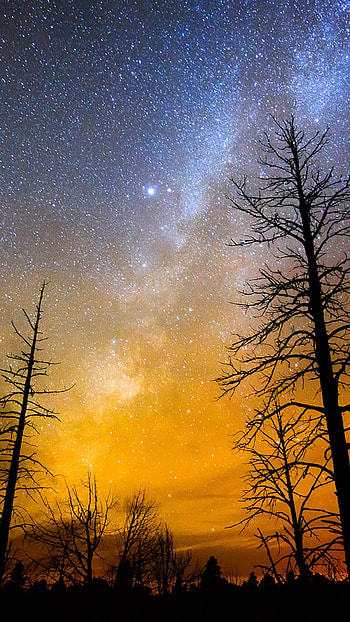 (1000+) For Android Mobile Full Screen 2017 HD phone wallpaper