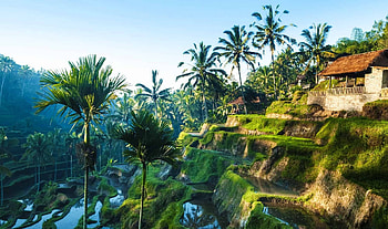 Asia, Adventure Asia travel HD wallpaper