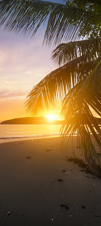 nature, beach HD phone wallpaper