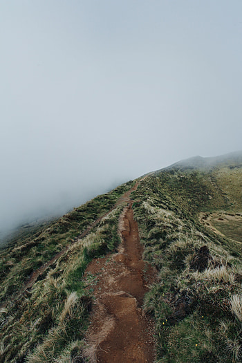 Nature, Grass, Fog, Path, Slope, Hill, Trail, Ridge, Spine HD phone wallpaper