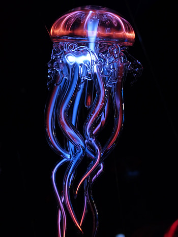 Jellyfish, Shine, Light, Miscellanea, Miscellaneous, Glass, Tentacles, Luminous, Artificial HD phone wallpaper