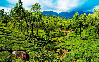 Kerala , Breathtaking , Scenic beauty, Nature's canvas HD wallpaper