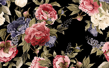 Pattern, red, rose, black, flower, texture HD wallpaper