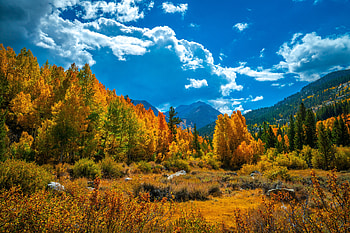 Autumn scenery, scenery, fall, view, autumn, trees, sky, beautiful, mountain, USA HD wallpaper