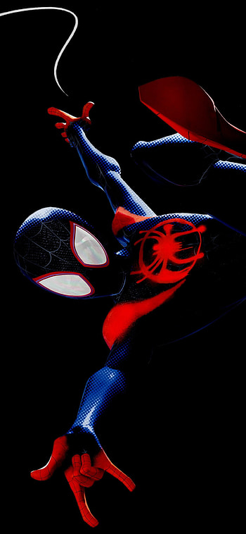 Spider-Man: Into the Spider-Verse, Animated superhero adventure, Miles Morales, Xiaomi HD phone wallpaper