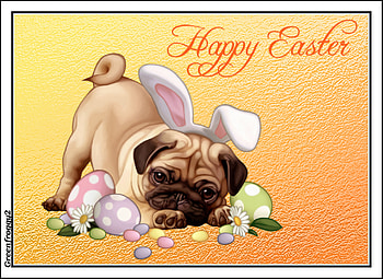 HAPPY EASTER, COMMENT, EASTER, CARD, HAPPY HD wallpaper