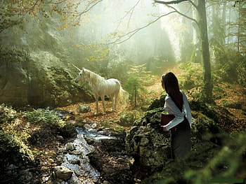Alone with him, horse, him, with, alone HD wallpaper