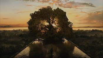 The Fountain movie, album HD wallpaper