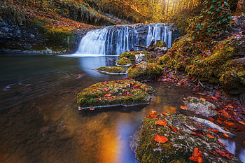 Waterfall, river, plants, stone, nature, grass, rocks, tree HD wallpaper