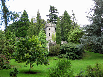 Nature, Trees, Garden, Lawn, Tower HD wallpaper