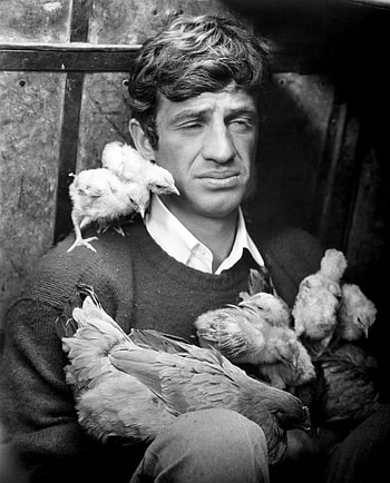 Jean-Paul Belmondo, Jean Paul Belmondo HD phone wallpaper