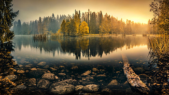 Tranquil Morning, dawn, reflection, autumn, trees, water, forest, sunrise, stones HD wallpaper