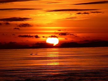 Landscape, Sunset, Sea, Sun HD wallpaper
