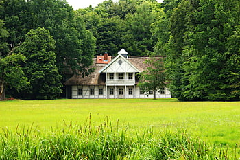 Idyllic countryside house amidst vibrant greenery in summer. HD wallpaper