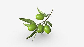 Olive branch, 3D model, Royalty-, Detailed craftsmanship HD wallpaper