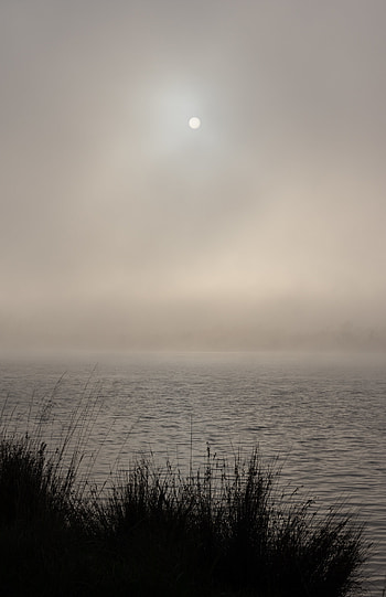 Nature, Grass, Moon, Lake, Ripples, Ripple HD phone wallpaper