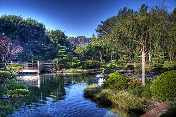 Nature, Vegetation, Design, Lantern, Lamp, Garden, Pond, China HD wallpaper