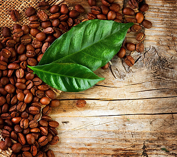 Coffee Beans, coffee, beans, leaves, wood HD wallpaper