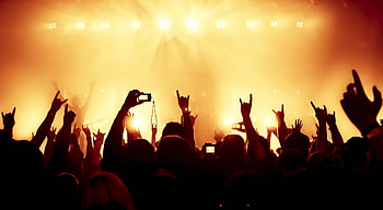 Concert, Concert audience, Ernie Ball blog, Concert HD wallpaper