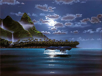 Salute to the moon, flipper, moon, clouds, whales, tail, mountains, ocean, nice HD wallpaper