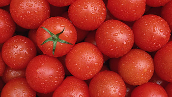 Tomato , Beautiful design, Impressive aesthetics, Creative artwork HD wallpaper