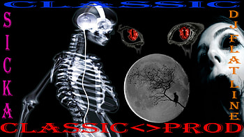 a jewel in the dark, skull, eyes, cat, moon HD wallpaper