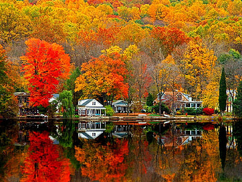 Beautiful Autumn Scenery, scenery, beauty of nature, colors, autumn, beautiful, amazing HD wallpaper