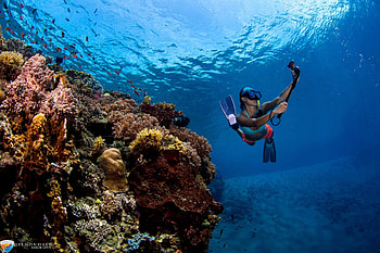 Aquatica Dive Resort, Scuba diving, East Timor, Underwater paradise HD wallpaper