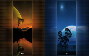 Day Night, night, day HD wallpaper