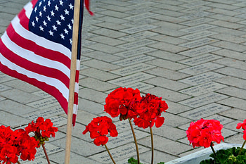 Memorial Day Scene, memorial day, red flowers, flag and flowers HD wallpaper