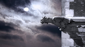 Gothic Gargoyle: Stunning, gothic, architecture, gargoyle HD wallpaper