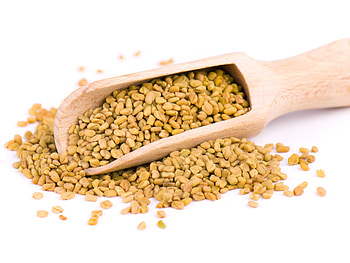 Fenugreek seed methi, Indian spice, Yugen HD wallpaper