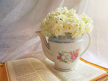 Teapot of spring, book, window, light, white flowers, teapot HD wallpaper