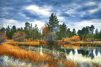 Amazing Autumn, clouds, trees, autumn, lake HD wallpaper