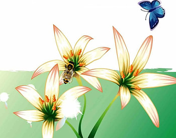 Butterfly and Lilies, flowers, butterfly, bee, lilies HD wallpaper